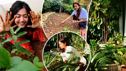 Celebrity home garden