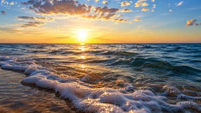 Ocean