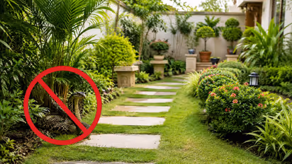 snake in garden