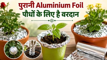Aluminium Foil for gardening