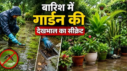 Monsoon Garden Care Tips