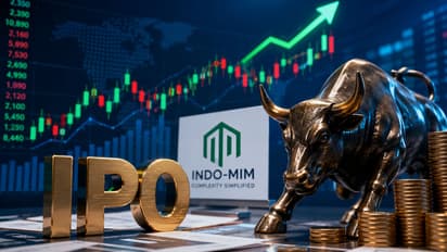 Indo MIM Share Price