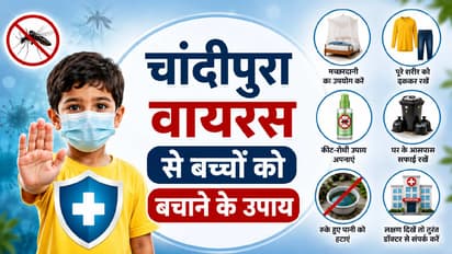 chandipura virus