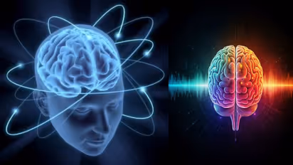 brain