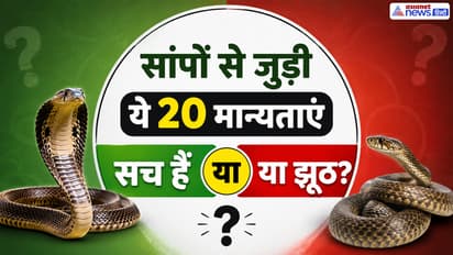 Snake Facts Nag Panchami