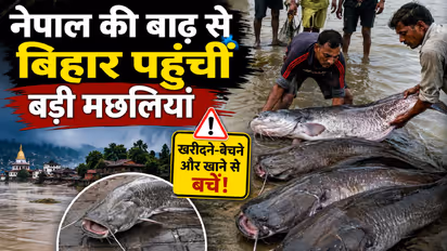 nepal fish