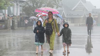 Rain