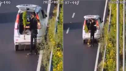 ‘POLICE’ Stickered WagonR Caught Stealing Plant From Delhi-Dehradun Expressway