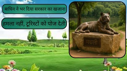 story of tigress queen of ranthambore