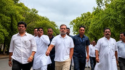 who are rahul gandhi