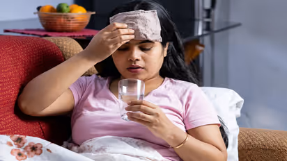 Chandipura Virus