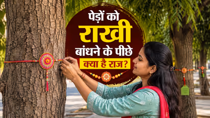 raksha bandhan tree rakhi tradition