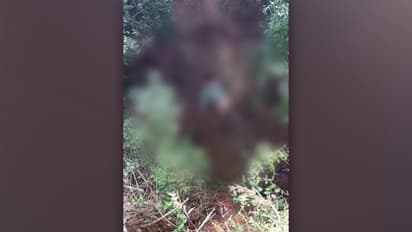 Farmer killed in tiger attack