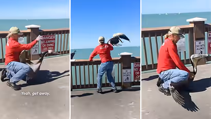 Viral video shows man rescuing pelican trapped by fishing wire by cutting fishing wire from its beak