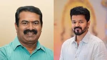 seeman and thalapathy vijay