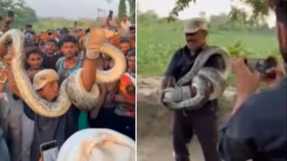Villagers Rescue Snake Catcher from Python