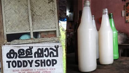 toddy shop