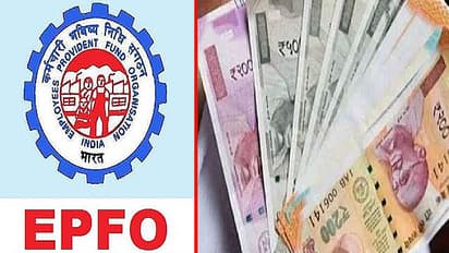 epfo higher pension scheme