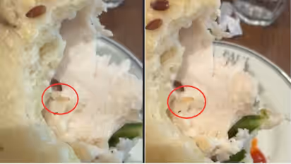 Live worm in sandwich