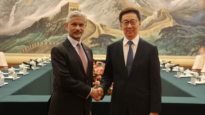 s jaishankar meets chinese vice president