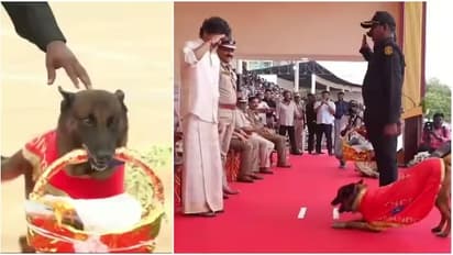 Police Dog Rocky Greets CM Vijay With Flowers, Steals the Show at Medal Ceremony in Chennai
