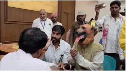 Man Dresses As Dog, Walks Into MP Public Hearing To Protest ₹40L Sterilisation Drive