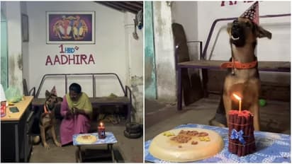 Dog’s First Birthday Turns Into Full Family Celebration With Cake, Cap And Happy Birthday Song