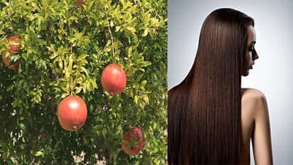 5-benefits-of-using-pomegranate-leaves-for-silky-and-shiny-hair