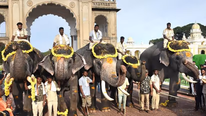 Mysuru Dasara 2026
