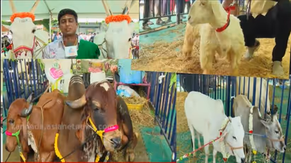 Gkvk krushi mela 2025