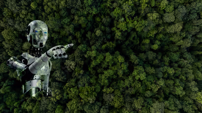 AI is saving small farms with climate change solutions in Tanzania