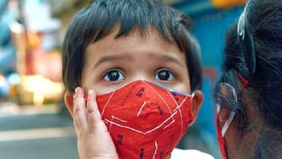 kerala tomato fever virus