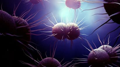 Sexually transmitted disease