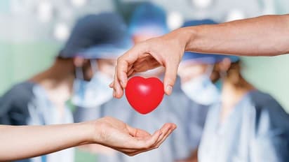 world organ donation day