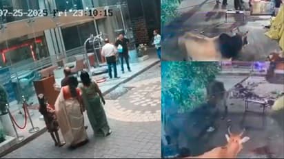  Raebareli Car Crash Hotel Lobby