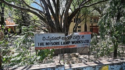 Mysuru Lamps