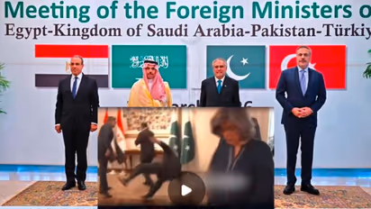 Pakistani Foreign Minister slips