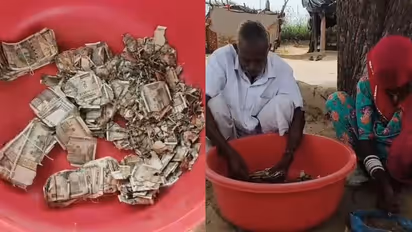 Rajasthan Farmer Buries ₹5 Lakh in Field, Forgets Location, Termites Destroy Cash