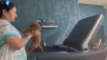 Human rights activist post a viral video on facebook and claims it is the video of Mamata Banerjee walking on trade mill holding a pupy 