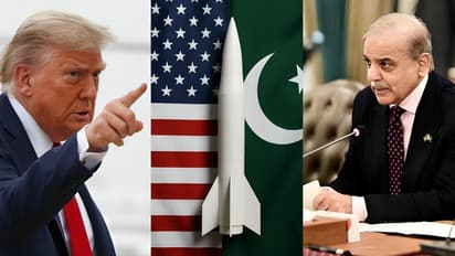 Collage of Donald Trump, Shehbaz Sharif and AI-generated pic