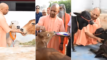 Yogi Adityanath