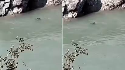 Uttarakhand Girl Drowning Video Viral Jumps Into Alaknanda River After Argument At Home