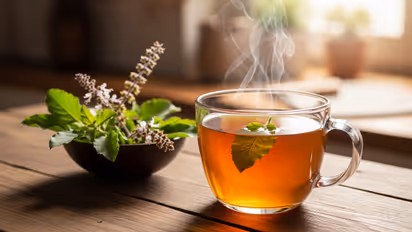 Tulsi Tea Health Benefits