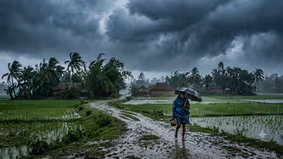 weather