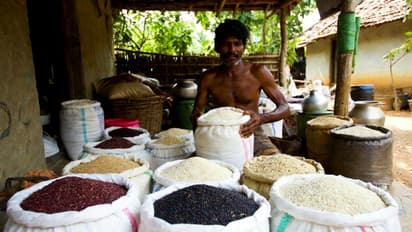 Selling Traditional Rice Varieties