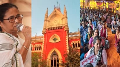 mamata banerjee and da protestors