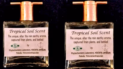 tropical soil scent