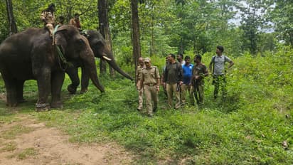 wild elephant attacks spread fear in wayanad villages