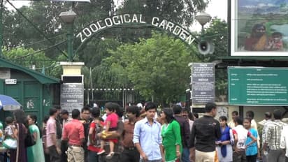 alipore zoo