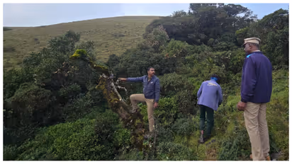 Project Nilgiri Tahr